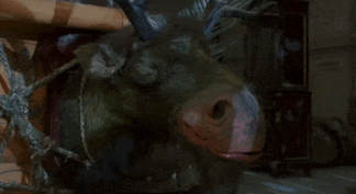 Gump-1434725062.gif