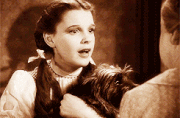 Giphy-13.gif