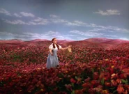 Wizardofoz-movie-screencaps.com-6406.jpg (1.32 MB)