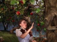 Wizardofoz-movie-screencaps.com-4529.jpg (1.24 MB)