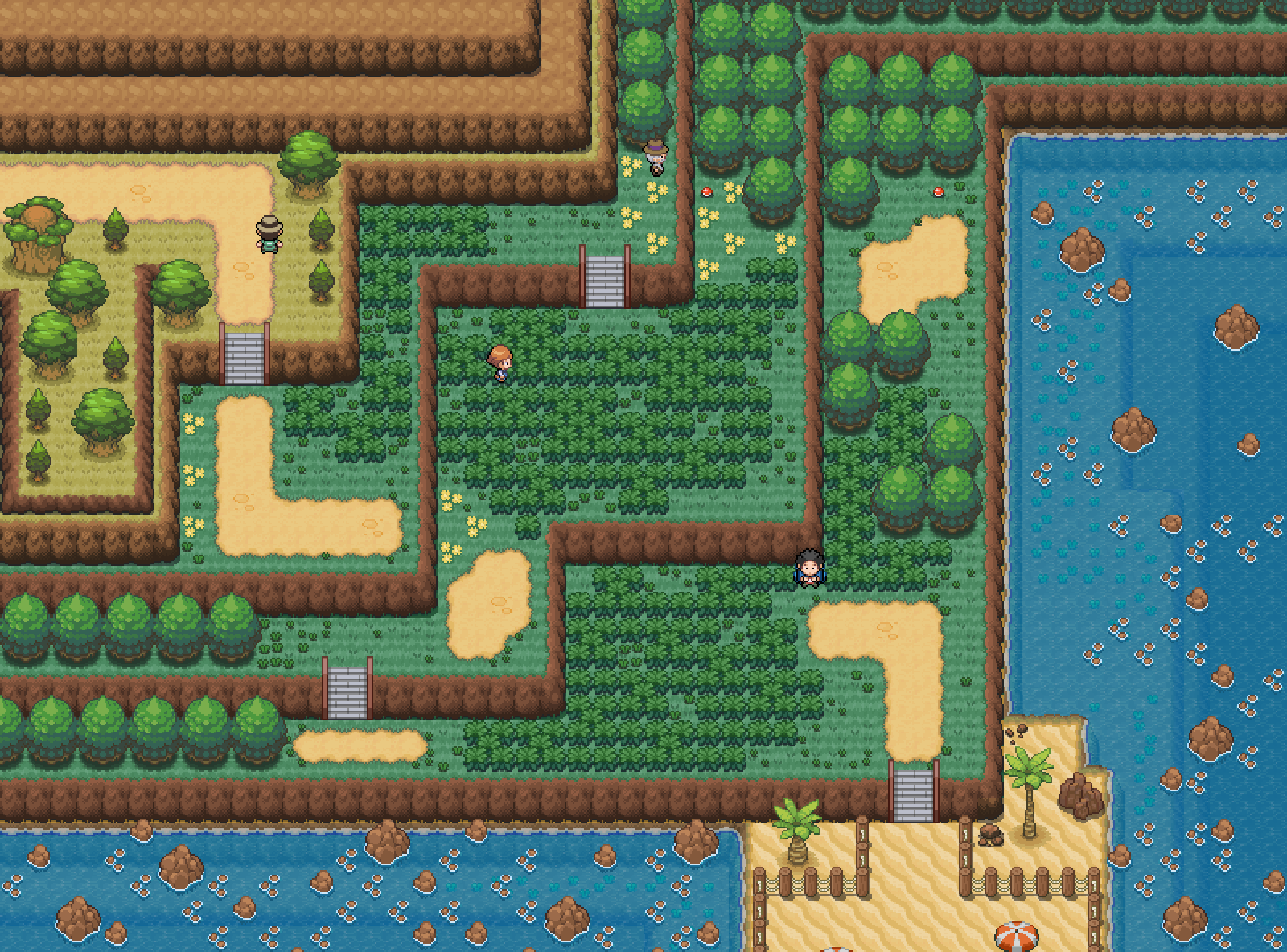 How to Get More Places in the Safari Zone in Pokemon SoulSilver