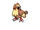 Pidgey