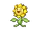 Sunflora