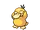 Psyduck