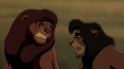 "NO! I didn't have anything to do with this!" Kovu is framed by Zira for leading Simba to her ambush.