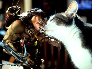 Small-soldiers- Archer & cat