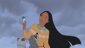 Pocahontas talks to Meeko, Percy and Flit