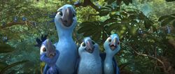 Rio 2 Jewel and Kids