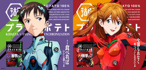 Yande.re 665000 bodysuit ikari shinji neon genesis evangelion souryuu asuka langley tagme