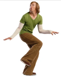 Shaggy as he appears in Scooby-Doo 2: Monsters Unleashed