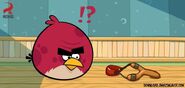 Big-Brother-Bird-angry-birds-32080200-720-344