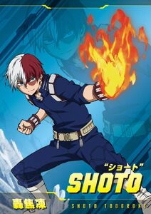 Shoto Todoroki Hero Card