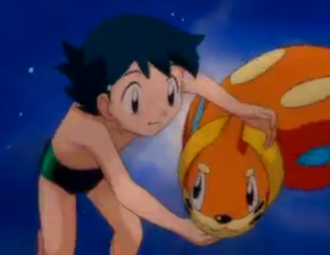 Max & Buizel swimming