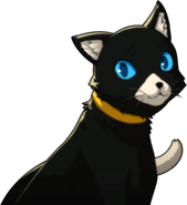 Morgana's cat form