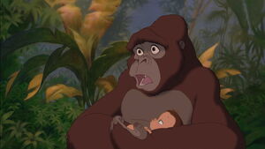 (Kerchak: "No. You have to take it back.") "Take him back?"