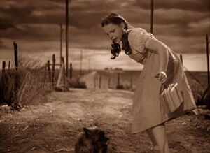 Dorothy and her dog, Toto running home.