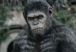 Caesar in Dawn of the Planet of the Apes.
