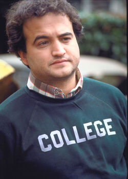 John Blutarsky.jpg