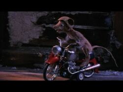 The Mouse and the Motorcycle - Wikipedia