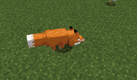 Fox pounce miss
