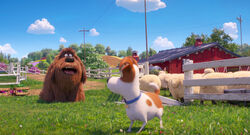 Secretlifeofpets2-animationscreencaps.com-6169