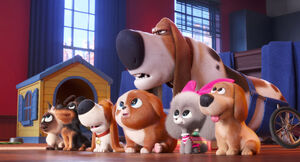 Secretlifeofpets2-animationscreencaps.com-4896