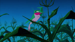 Sometime later, Flit sits on a cornfield, keeping a lookout.