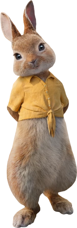 Mopsy Movie