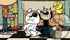 Lincoln gives his four pets Charles, Cliff, Geo, and Walt each a treat for them as an apology for not getting their attention.