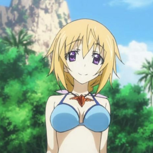 Charlotte Dunois Heroes Wiki Fandom But he's so cute that ichika still wants to go all the way with his new roommate. charlotte dunois heroes wiki fandom