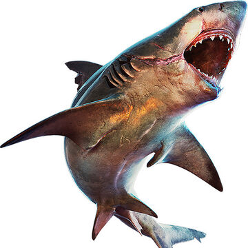 Bull Shark Maneater Heroes Wiki Fandom