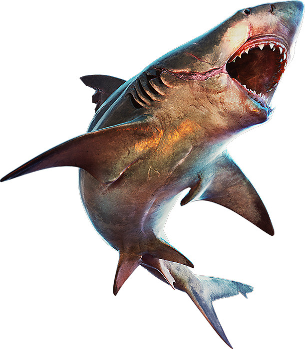 Hungry Shark - Megalodon keeps in the shadows, only coming