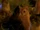 Cats (Sleepwalkers)