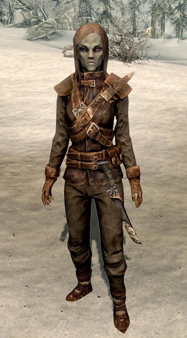 Karliah Heroes Wiki Fandom Working with skyrim head tris. karliah heroes wiki fandom