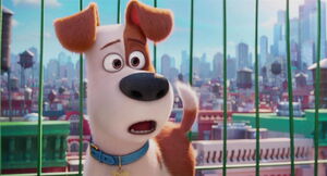 Secret-life-pets-disneyscreencaps.com-1651