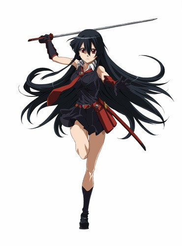 Akame Akame Ga Kill Heroes Wiki Fandom