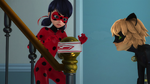 Animan - Ladybug and Cat Noir 16