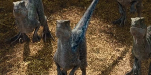 Charlie's first appearance.