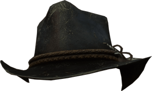 Arthur Morgan's Hat.