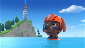 Zuma/Gallery, PAW Patrol Wiki, Fandom