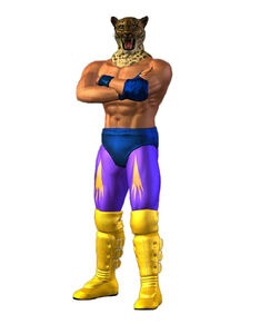 King in Tekken 3.