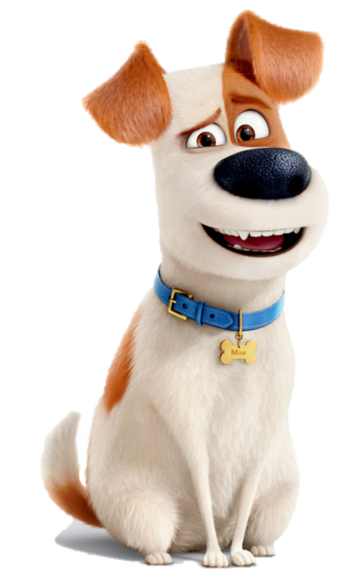 Secret life of pets best friend max top