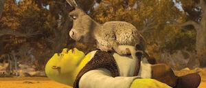 Alternate Universe Donkey with Shrek
