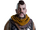 Erend Vanguardsman