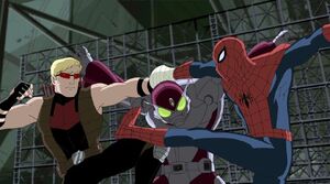 Fbb78a52e2c0da377377d09d9d024f5e.jpg (72 KB)