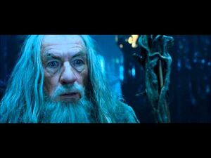 LOTR The Fellowship of the Ring - Saruman the White