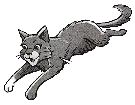 Squirrelflight, Warriors Wiki, FANDOM powered by Wikia