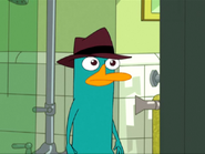 -Perry in Ferb latin