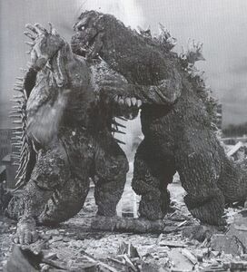 Godzilla Fighting Anguirus in Godzilla Raids Again.