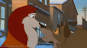 Balto runs nose to nose with Jenna